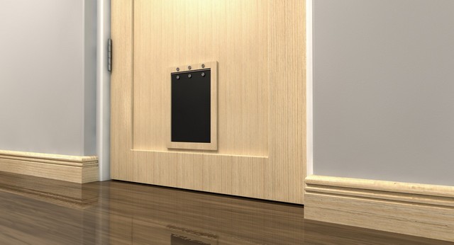 Cat Flap Installation Upminster, North Ockendon, RM14