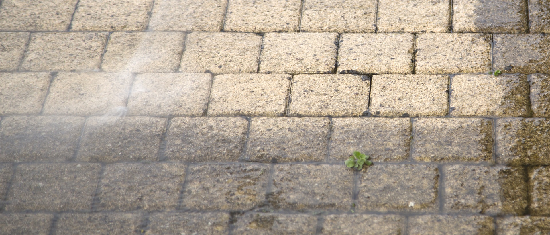 flagging and patios RM14