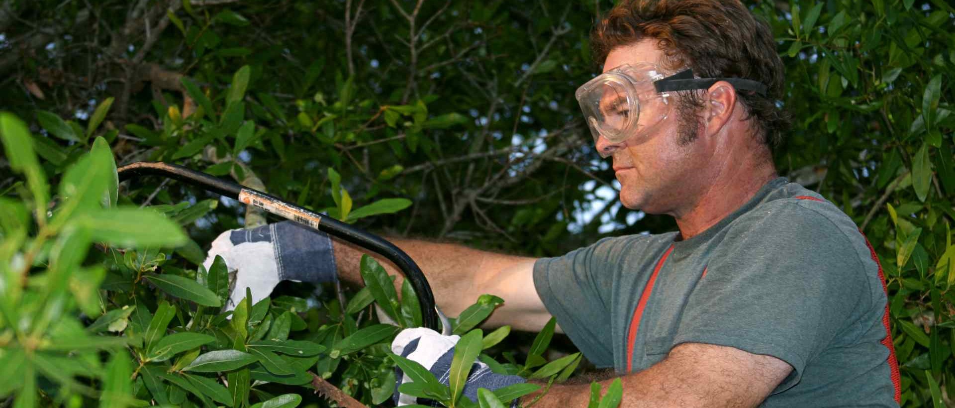 garden clearance RM14